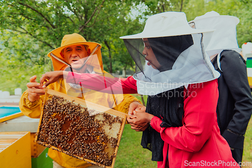 Image of Business partners with an experienced senior beekeeper checking the quality and production of honey at a large bee farm