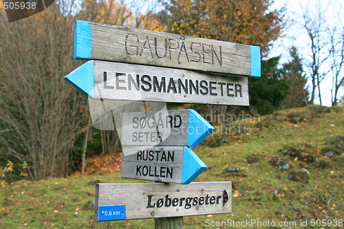 Image of Sign in the forrest