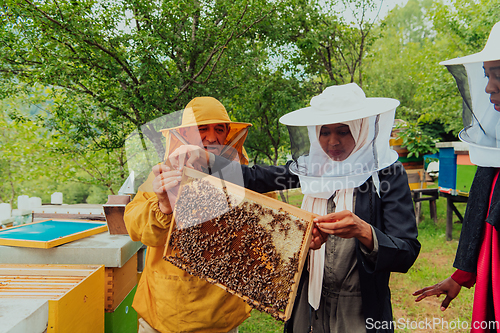 Image of Business partners with an experienced senior beekeeper checking the quality and production of honey at a large bee farm