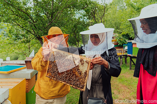 Image of Business partners with an experienced senior beekeeper checking the quality and production of honey at a large bee farm