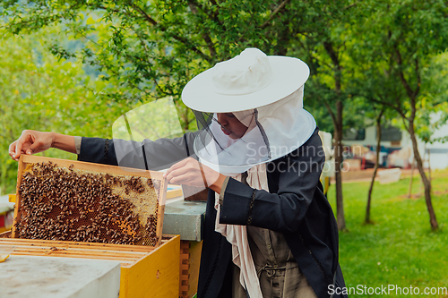 Image of Hijab Arabian woman checking the quality of honey on the large bee farm in which she invested