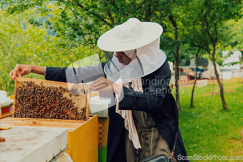 Image of Hijab Arabian woman checking the quality of honey on the large bee farm in which she invested