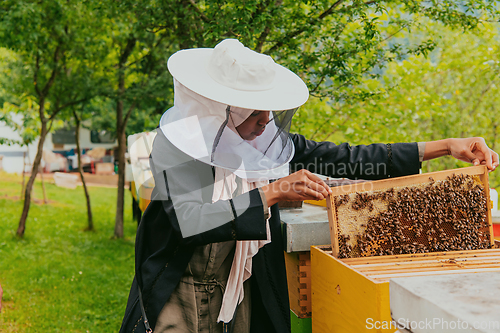 Image of Hijab Arabian woman checking the quality of honey on the large bee farm in which she invested