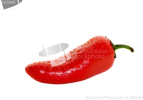 Image of Hot pepper