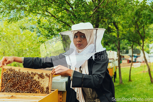 Image of Hijab Arabian woman checking the quality of honey on the large bee farm in which she invested