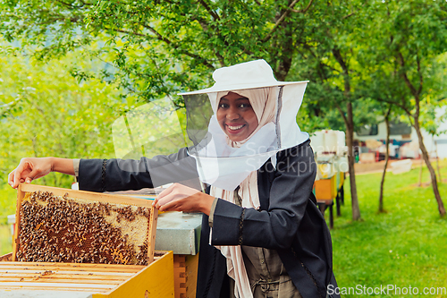 Image of Hijab Arabian woman checking the quality of honey on the large bee farm in which she invested