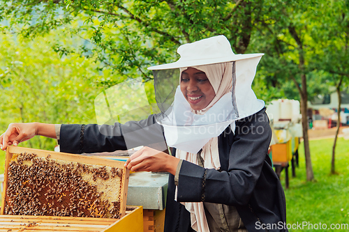 Image of Hijab Arabian woman checking the quality of honey on the large bee farm in which she invested