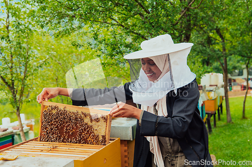 Image of Hijab Arabian woman checking the quality of honey on the large bee farm in which she invested