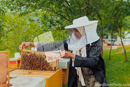 Image of Hijab Arabian woman checking the quality of honey on the large bee farm in which she invested