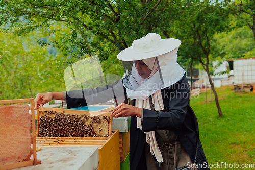 Image of Hijab Arabian woman checking the quality of honey on the large bee farm in which she invested