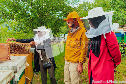 Image of Business partners with an experienced senior beekeeper checking the quality and production of honey at a large bee farm