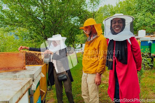 Image of Business partners with an experienced senior beekeeper checking the quality and production of honey at a large bee farm