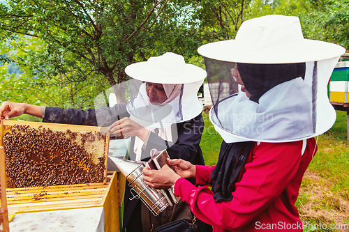 Image of Arab investors check ingthe quality of honey on the farm in which they invested the money. Investing in small businesses.