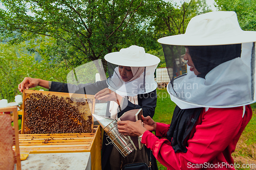 Image of Arab investors check ingthe quality of honey on the farm in which they invested the money. Investing in small businesses.