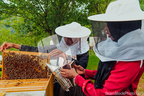 Image of Arab investors check ingthe quality of honey on the farm in which they invested the money. Investing in small businesses.