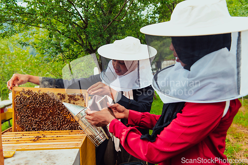 Image of Arab investors check ingthe quality of honey on the farm in which they invested the money. Investing in small businesses.