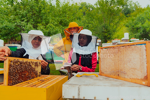 Image of Business partners with an experienced senior beekeeper checking the quality and production of honey at a large bee farm