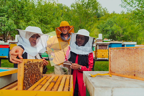 Image of Business partners with an experienced senior beekeeper checking the quality and production of honey at a large bee farm