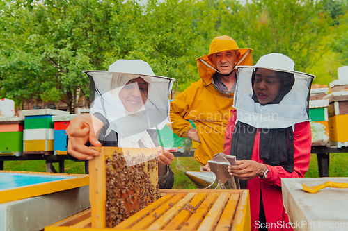 Image of Business partners with an experienced senior beekeeper checking the quality and production of honey at a large bee farm