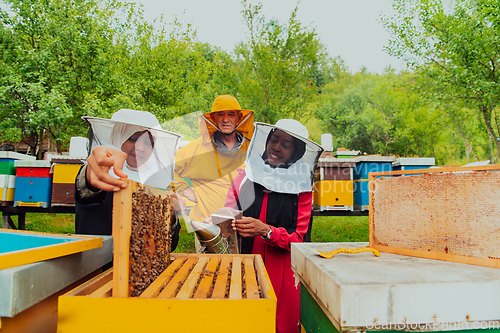 Image of Business partners with an experienced senior beekeeper checking the quality and production of honey at a large bee farm