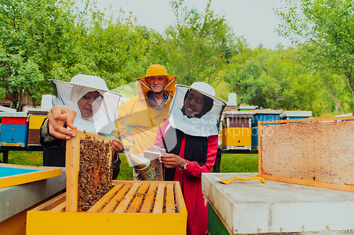 Image of Business partners with an experienced senior beekeeper checking the quality and production of honey at a large bee farm