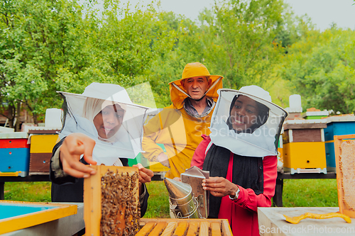 Image of Business partners with an experienced senior beekeeper checking the quality and production of honey at a large bee farm