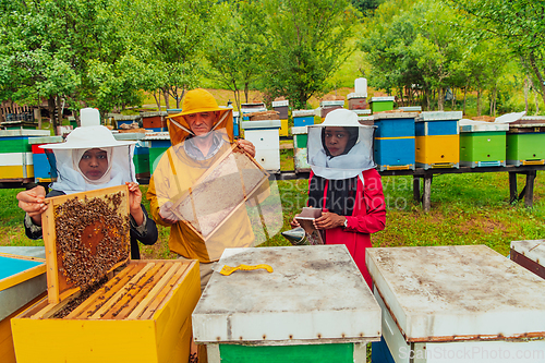 Image of Business partners with an experienced senior beekeeper checking the quality and production of honey at a large bee farm