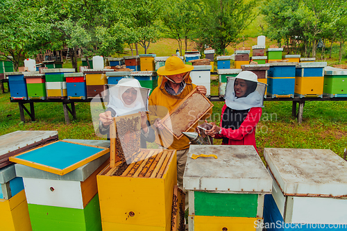 Image of Business partners with an experienced senior beekeeper checking the quality and production of honey at a large bee farm