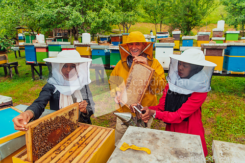 Image of Business partners with an experienced senior beekeeper checking the quality and production of honey at a large bee farm