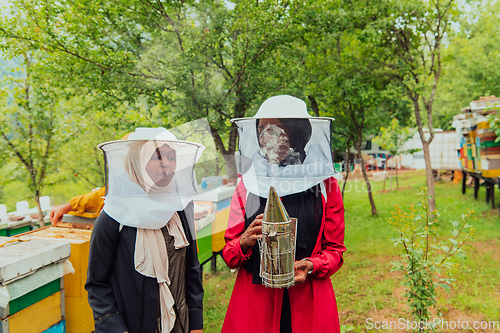 Image of Arab investors checking the quality and production of honey on a large honey farm.