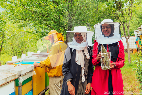 Image of Arab investors checking the quality and production of honey on a large honey farm.