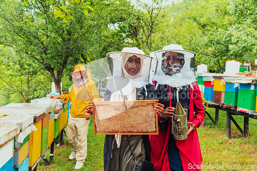 Image of Arab investors checking the quality and production of honey on a large honey farm.