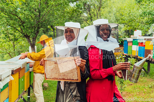 Image of Arab investors checking the quality and production of honey on a large honey farm.