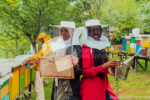 Image of Arab investors checking the quality and production of honey on a large honey farm.