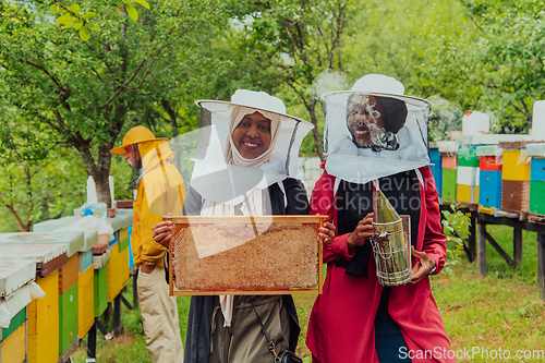 Image of Arab investors checking the quality and production of honey on a large honey farm.
