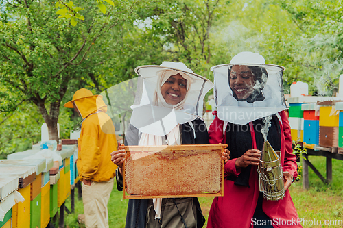 Image of Arab investors checking the quality and production of honey on a large honey farm.