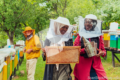 Image of Arab investors checking the quality and production of honey on a large honey farm.