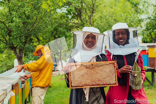 Image of Arab investors checking the quality and production of honey on a large honey farm.