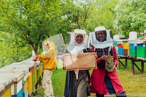 Image of Arab investors checking the quality and production of honey on a large honey farm.