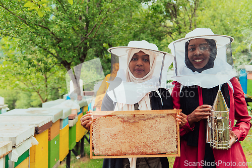 Image of Arab investors checking the quality and production of honey on a large honey farm.