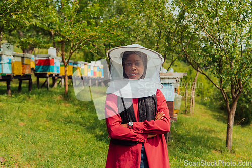 Image of Portrait of an Arab investor located on a large honey farm. Investing in small businesses