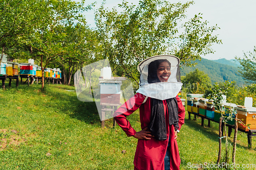 Image of Portrait of an Arab investor located on a large honey farm. Investing in small businesses