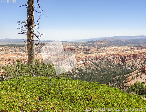 Image of Bryce Canyon National Park