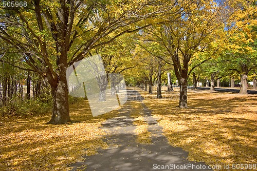Image of autumn path