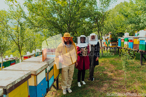 Image of Arab woman investitors with an experienced senior beekeeper checking the quality and production of honey at a large bee farm