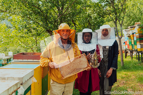 Image of Arab woman investitors with an experienced senior beekeeper checking the quality and production of honey at a large bee farm