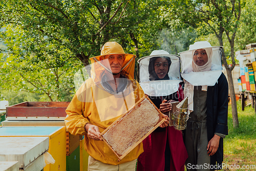 Image of Arab woman investitors with an experienced senior beekeeper checking the quality and production of honey at a large bee farm