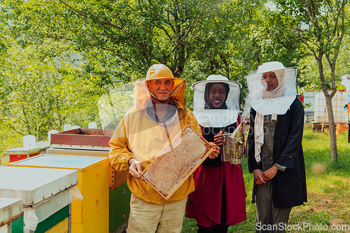 Image of Arab woman investitors with an experienced senior beekeeper checking the quality and production of honey at a large bee farm