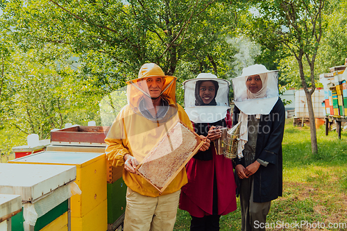 Image of Arab woman investitors with an experienced senior beekeeper checking the quality and production of honey at a large bee farm