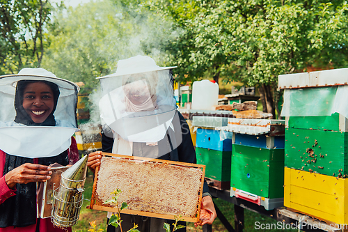 Image of Arab investors checking the quality of honey on a large honey farm in which they invested their money. The concept of investing in small businesses